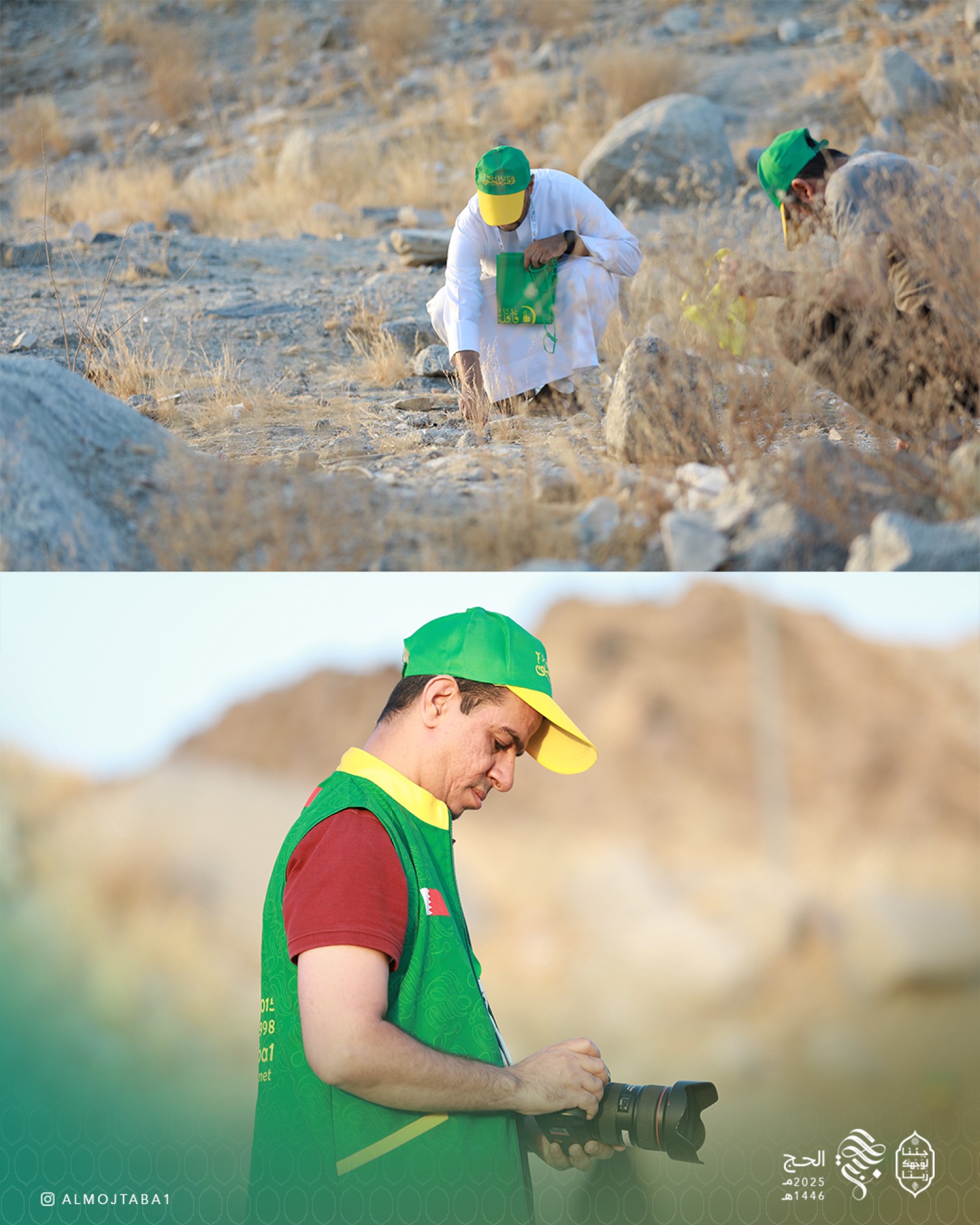 صورة المقال